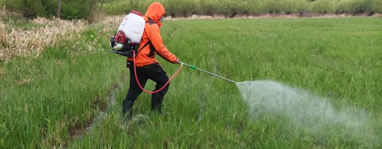 Aplikace biocidu na lokalitě Pastvisko u Lednice