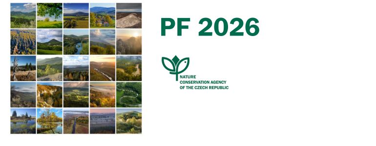 PF 2026.