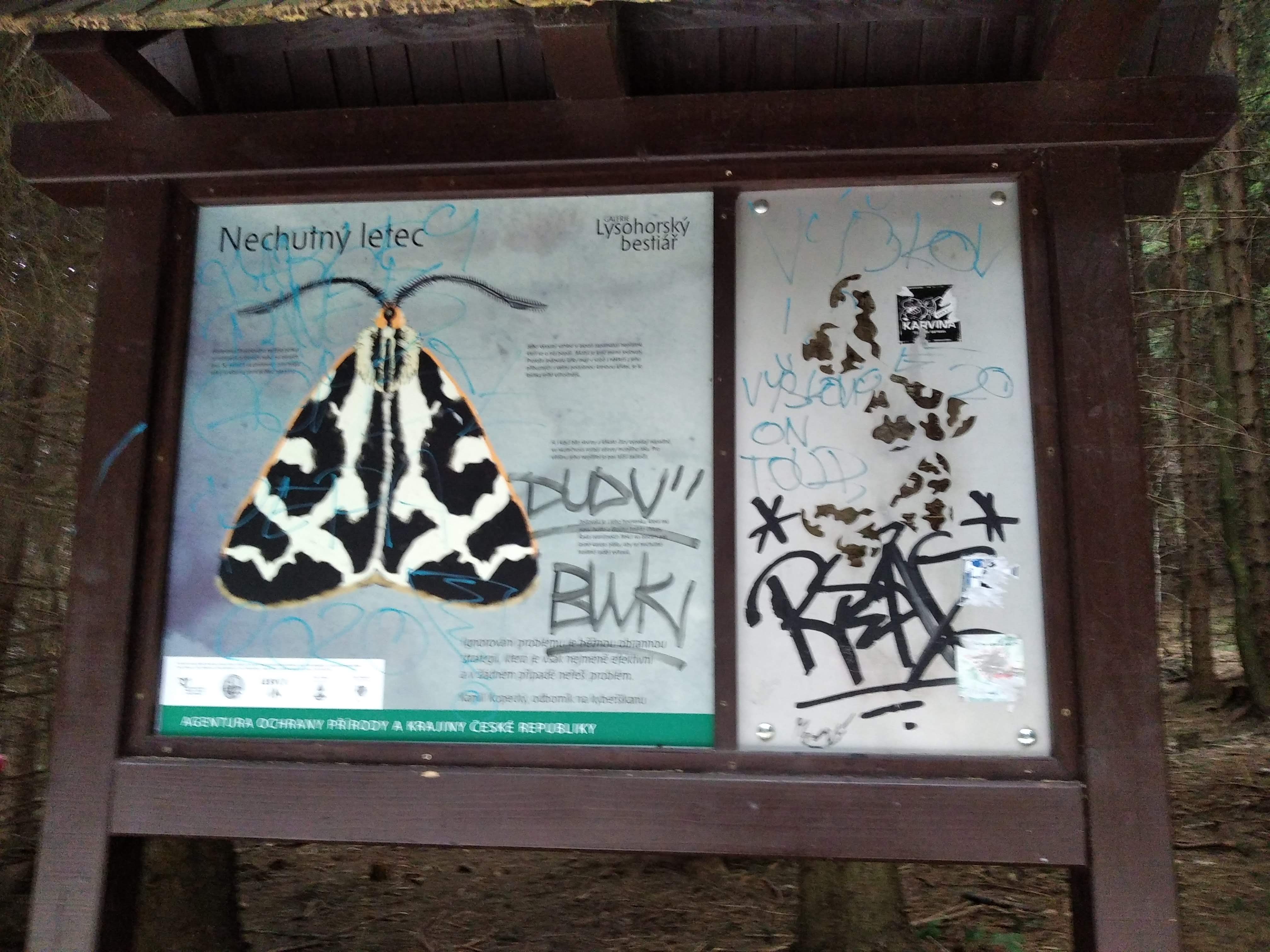 zastavení naučné stezky - Nechutný letec