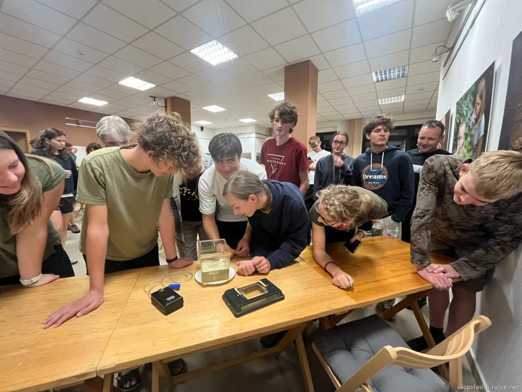 Studenti zkoumají vodní živočichy.