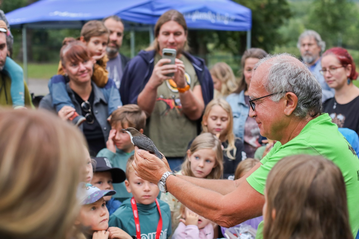ukázka skorce chyceného v síti pro netopýry