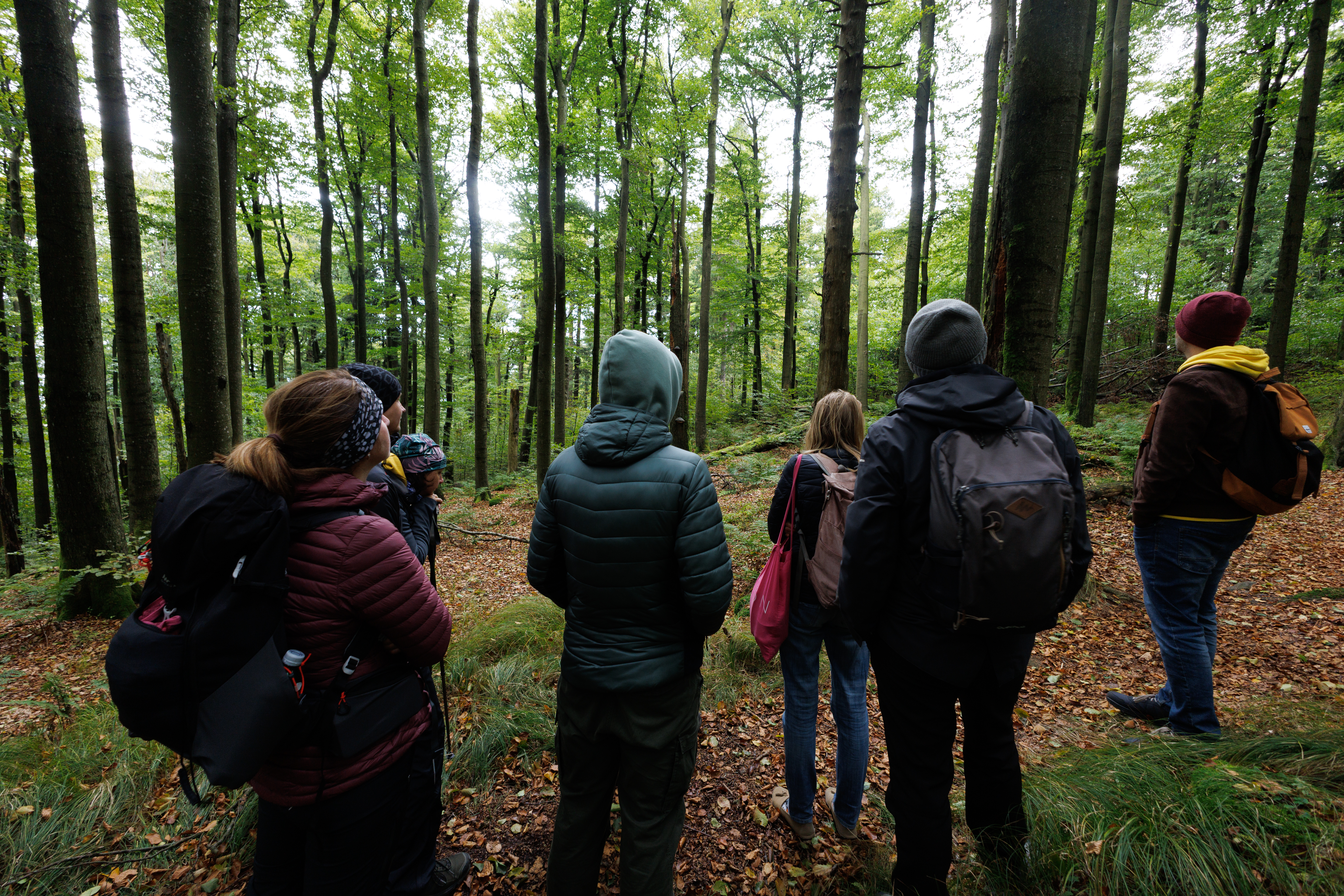 přírodovědná exkurze do čerchovských hvozdů