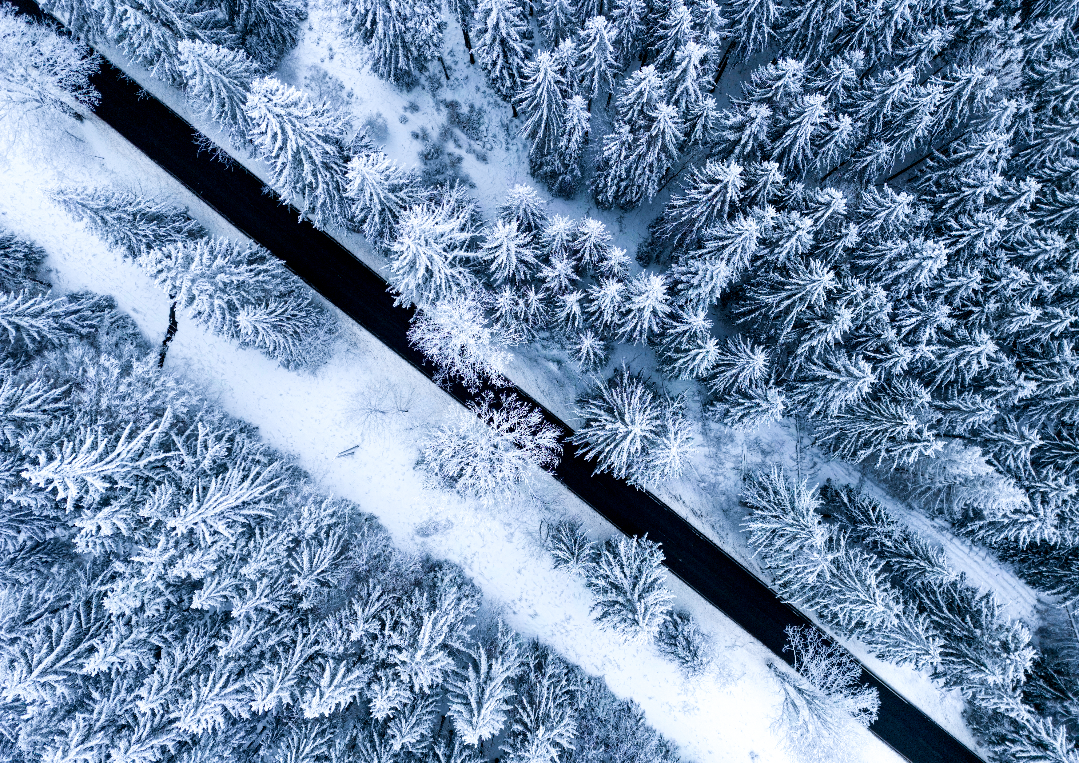 zasněžený les s cestou diagonálně, foto dronem