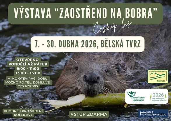 plakát k výstavě v Bělé