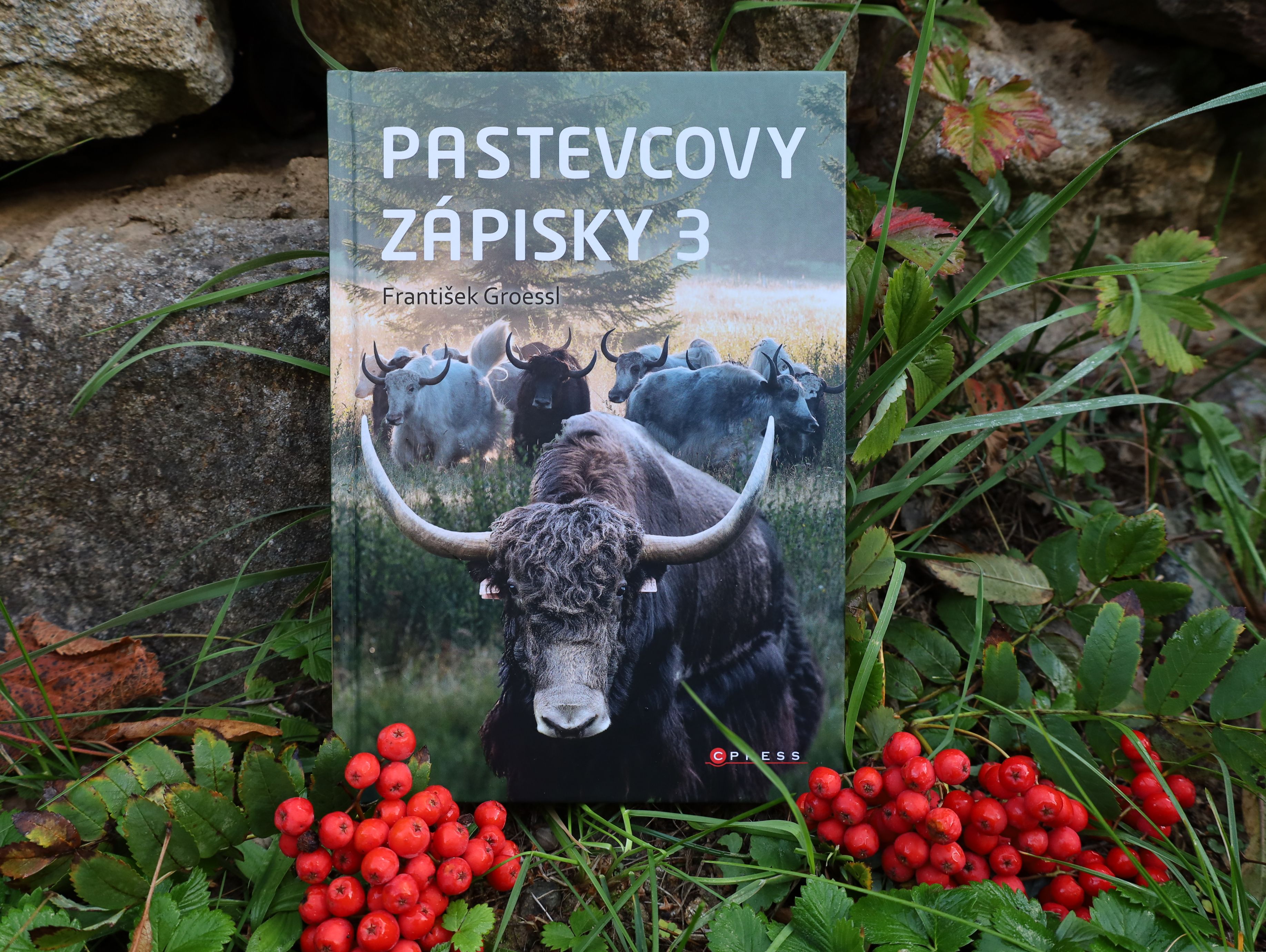 Obálka knihy Pastevcovy zápisky 3.
