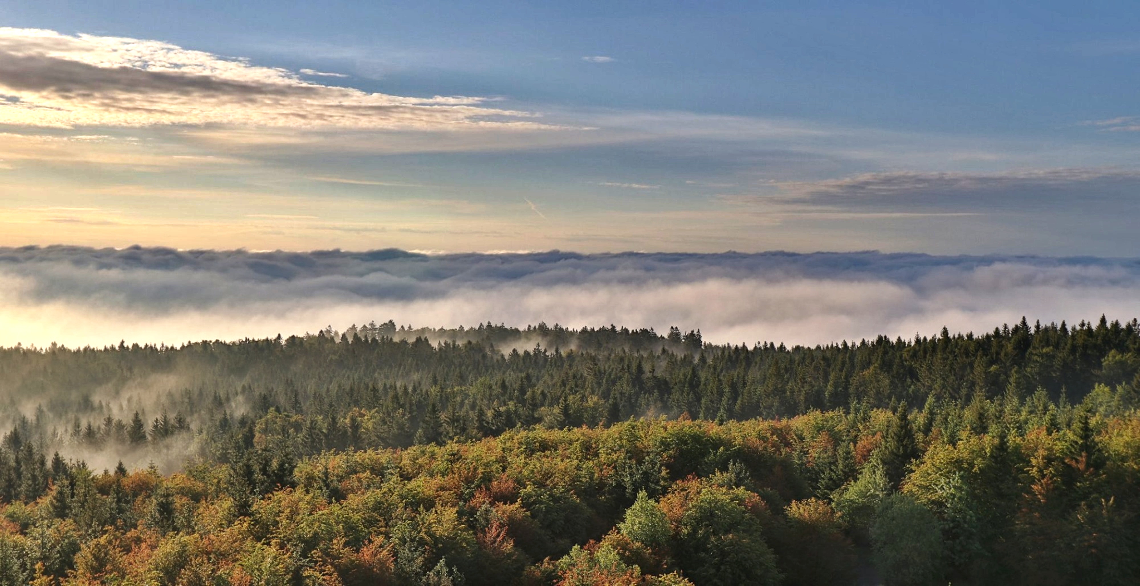 Pohled z rozhledny Havran