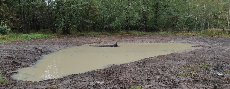 Nová tůň v Litovelském Pomoraví